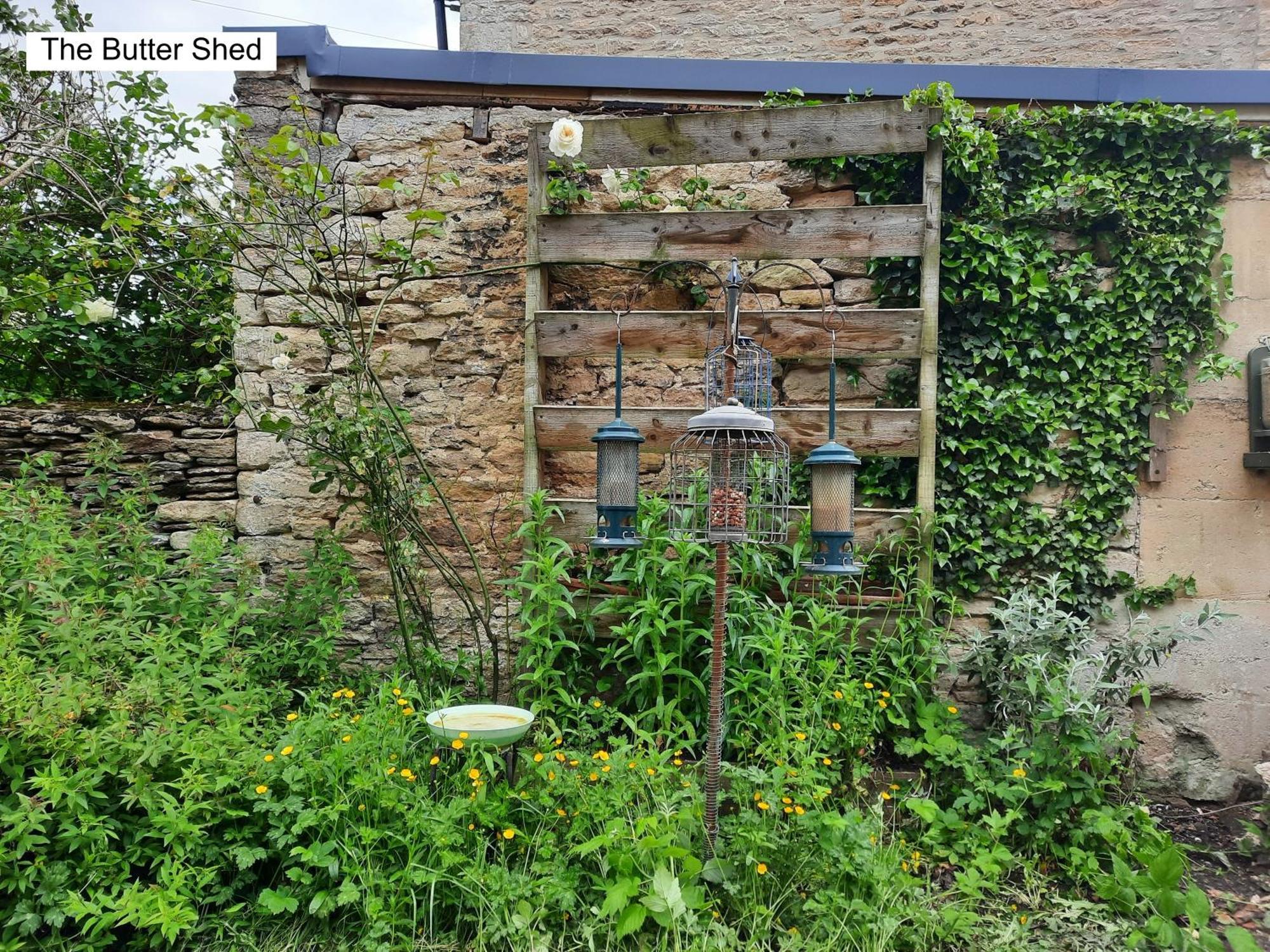 Cotswold Cottage Bed & Breakfast Luckington Εξωτερικό φωτογραφία