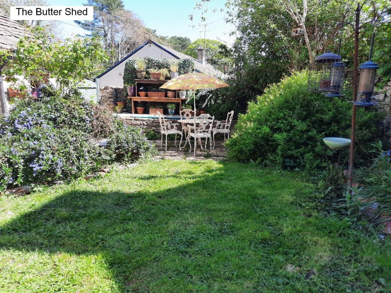 Cotswold Cottage Bed & Breakfast Luckington Εξωτερικό φωτογραφία