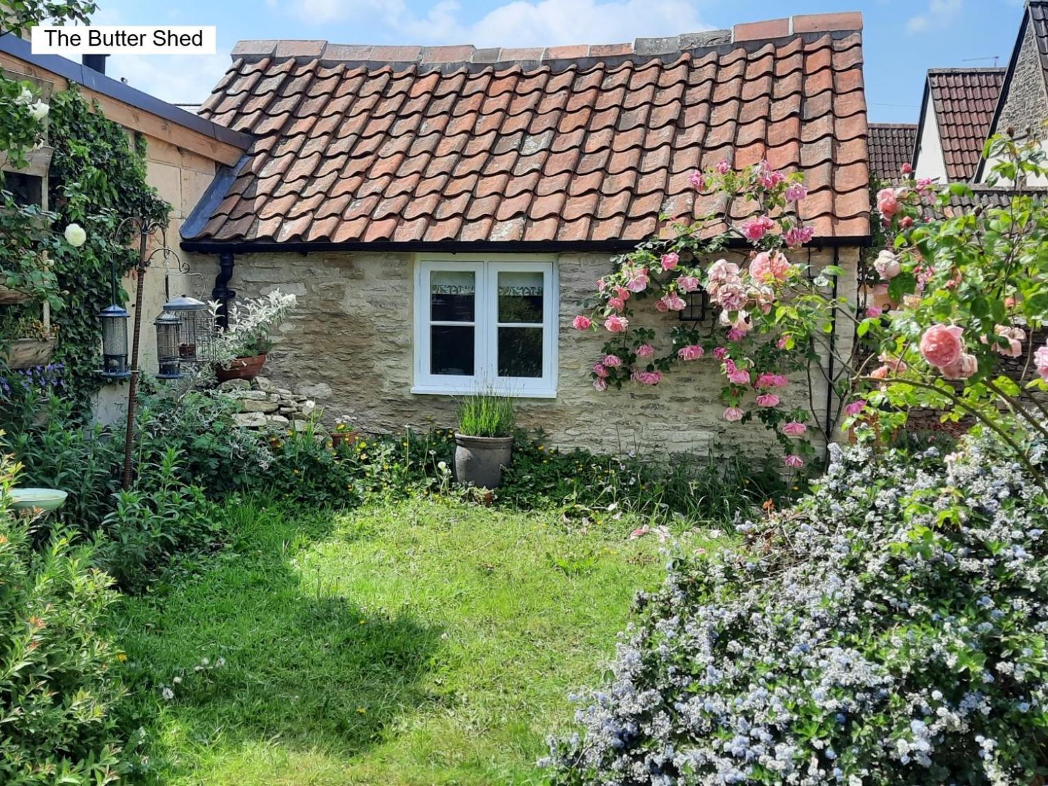 Cotswold Cottage Bed & Breakfast Luckington Εξωτερικό φωτογραφία